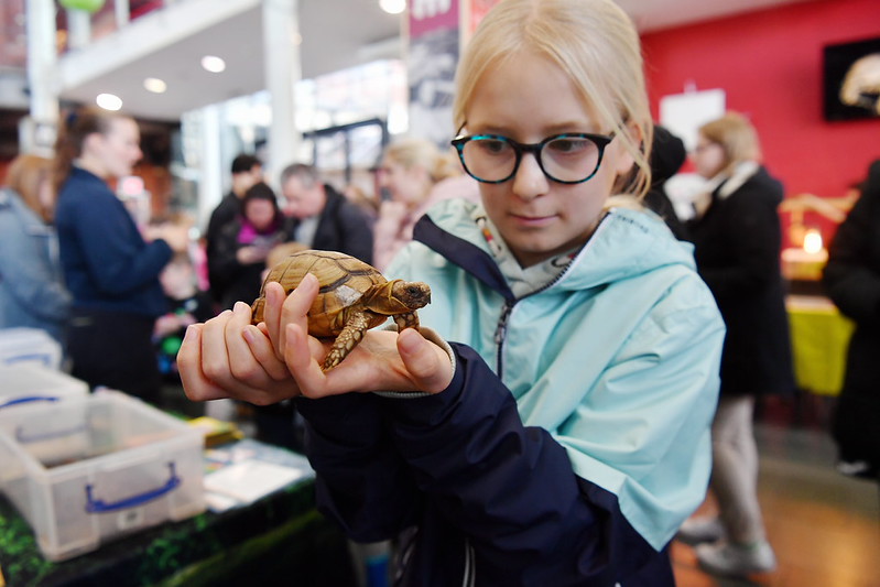 Girl holding a turtle