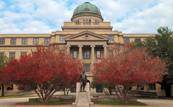 Texas A&M university