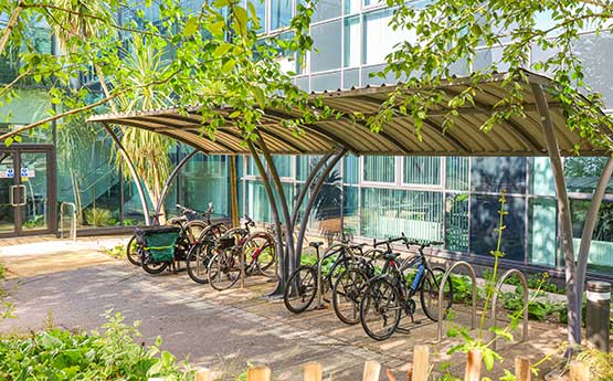 bikes parked under a cycle shelter on Singleton Campus 