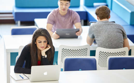 students looking at their laptops