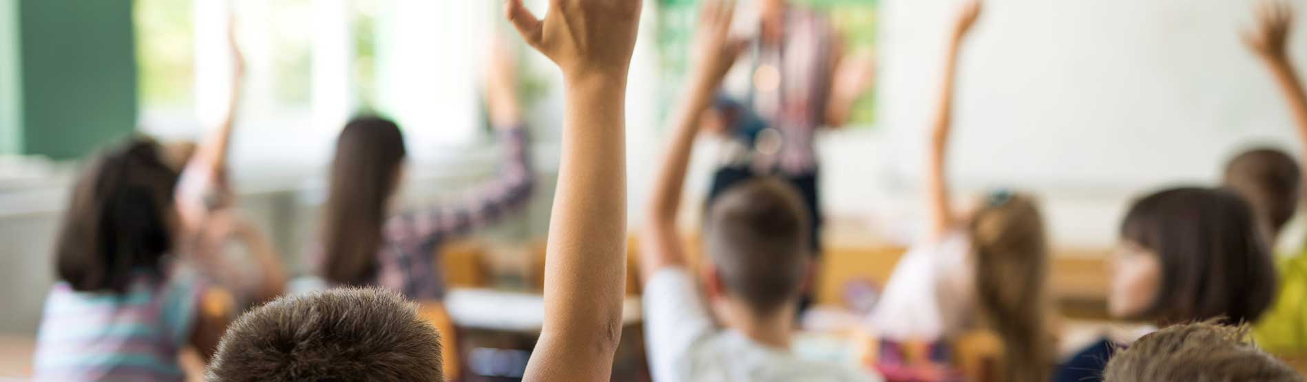 Pupils holding hands up