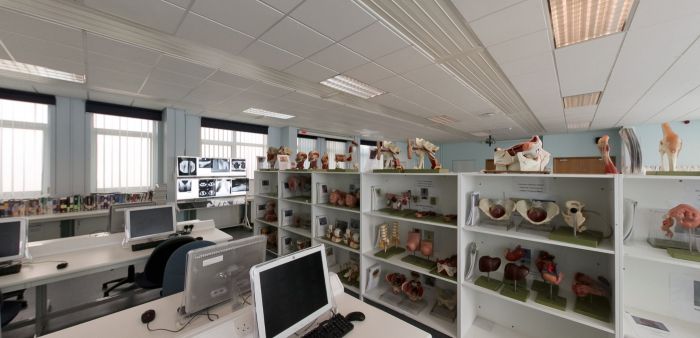 Anatomy teaching lab with anatomical models and computer workstations