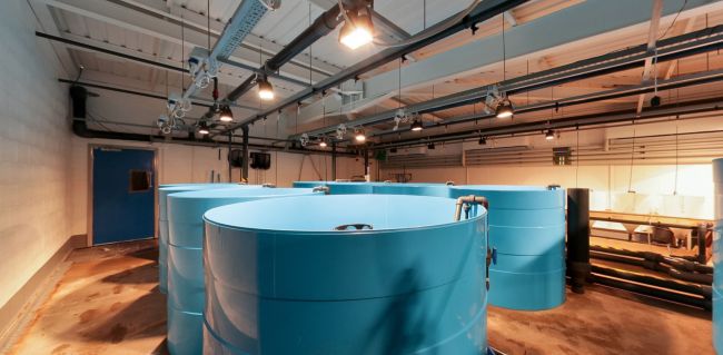 Aquatic Centre research facility with circular aquatic tanks