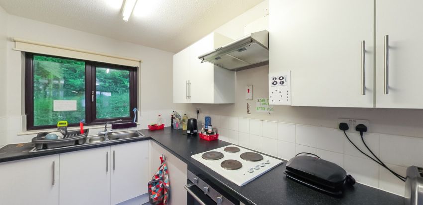 Shared kitchen with hob, sink, cupboards and window overlooking greenery